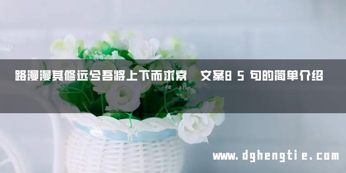 路漫漫其修远兮吾将上下而求索 文案85句的简单介绍